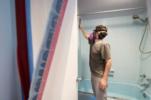 Best Commercial Mold Inspection  in Meadowbrook, CA