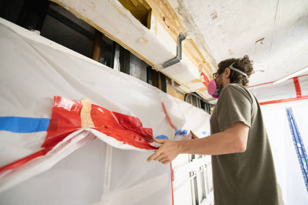Best Industrial Mold Remediation  in Meadowbrook, CA