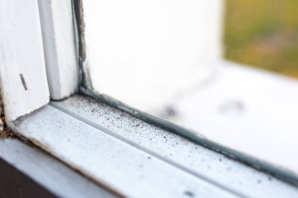 Best Real Estate Mold Inspection  in Meadowbrook, CA